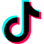 TikTok icon